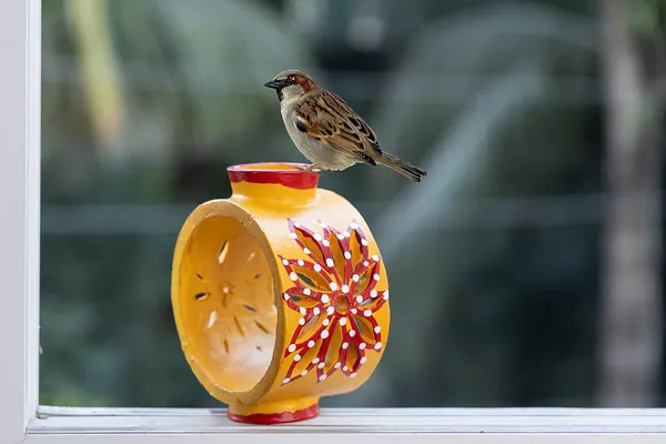 Terracotta_Bird_Feeder_Bowl