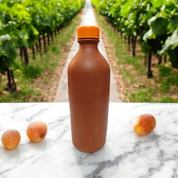 Terracotta_Water_Bottle