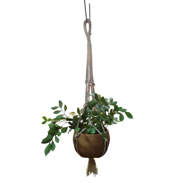 Macrame_Plant_Hanger_With_Terracotta_Planter