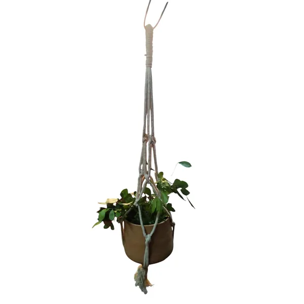 Macrame_Plant_Hanger_With_Terracotta_Planter
