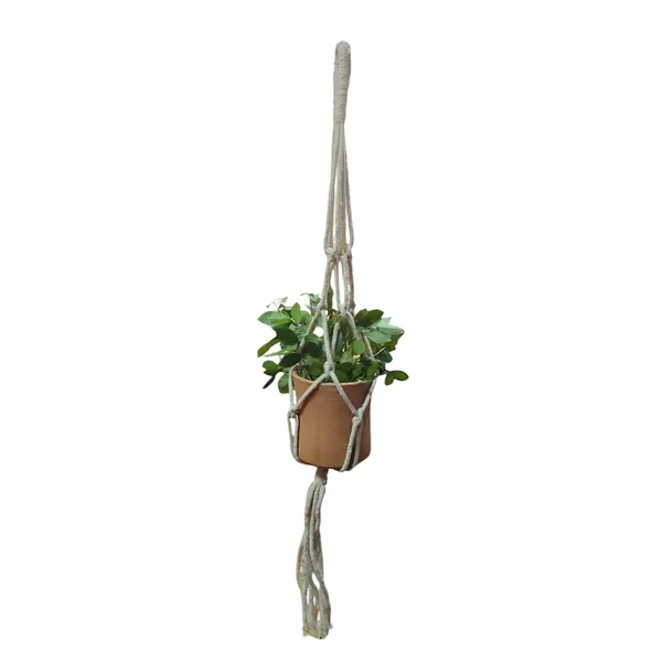 Macrame_Plant_Hanger_With_Terracotta_Planter