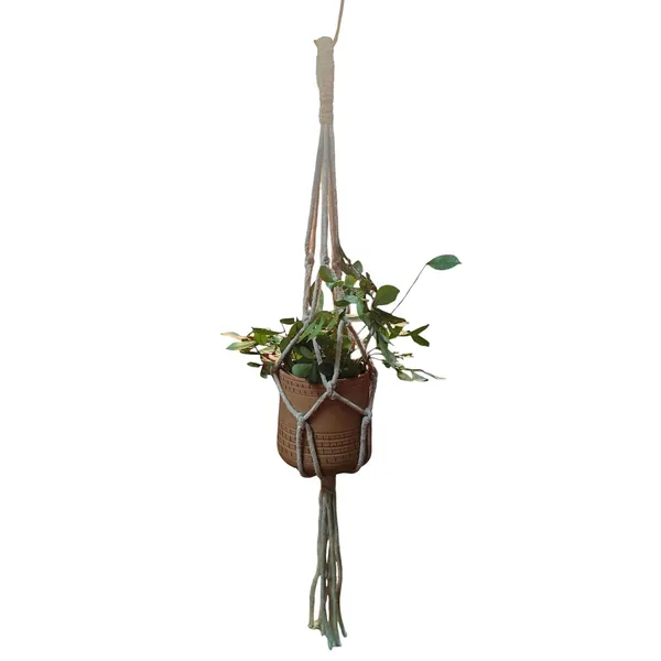 Macrame_Plant_Hanger_With_Terracotta_Planter