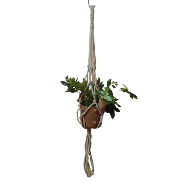 Macrame_Plant_Hanger_With_Terracotta_Planter
