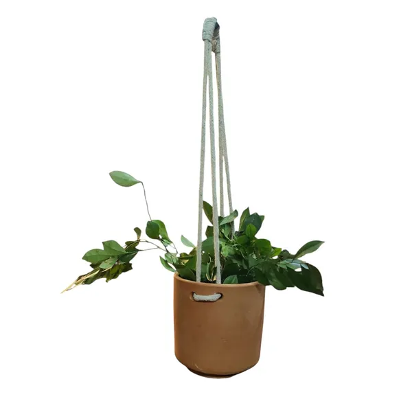 Macrame_Plant_Hanger_With_Terracotta_Planter