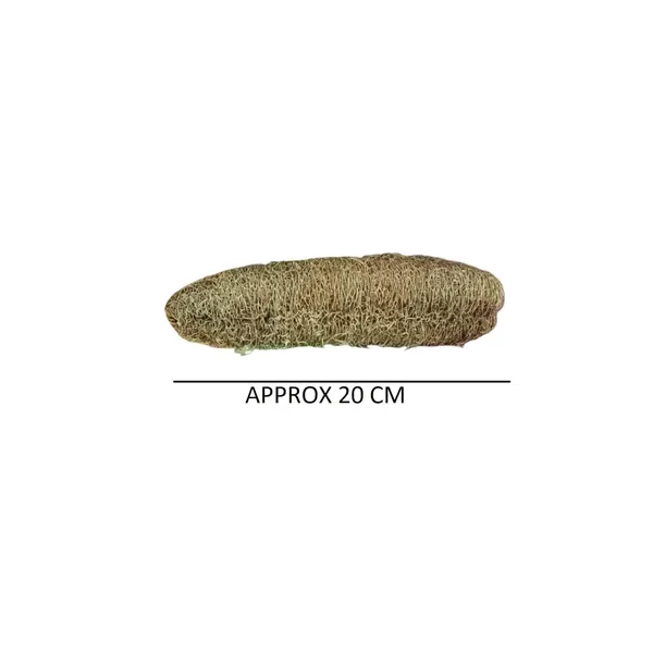 Natural_Loofah_Bath_Sponge
