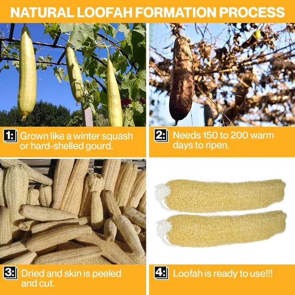 Natural_Loofah_Bath_Sponge