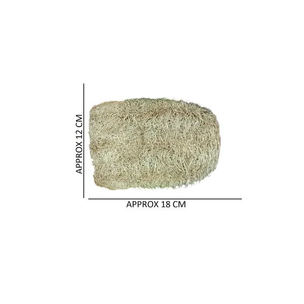Natural_Loofah_Bath_Sponge