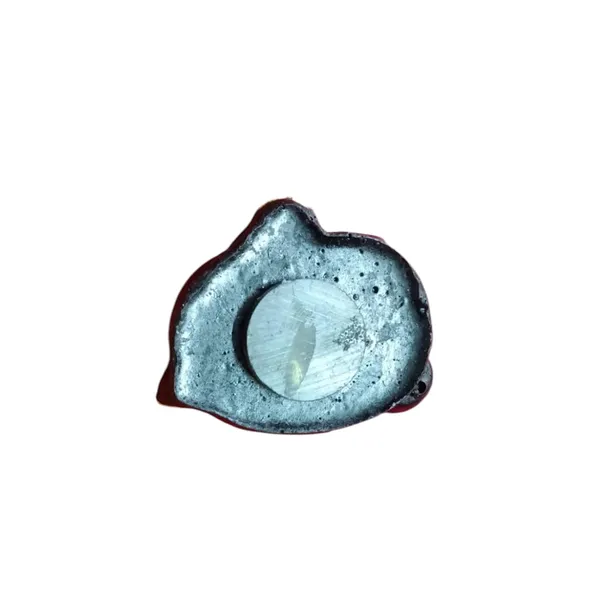 Idli_Sambar_Fridge_Magnet