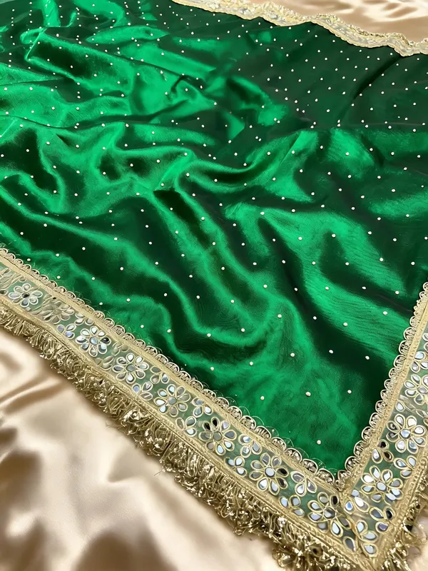 Green_Tissue_Silk_Embellished_Saree_For_Women