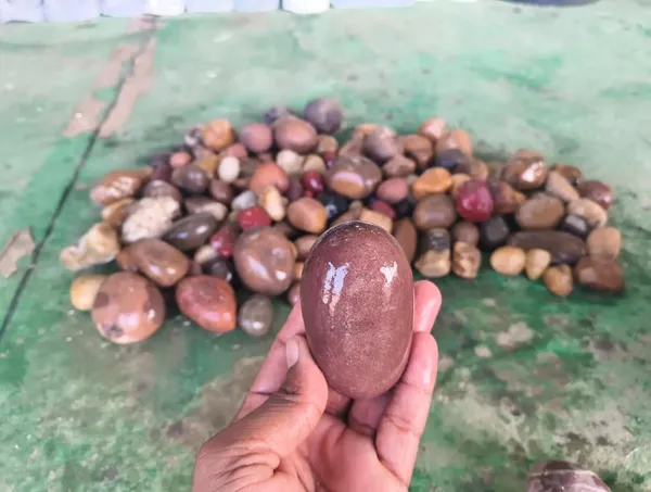 Natural_Mixed_Colour_Decorative_Pebbles