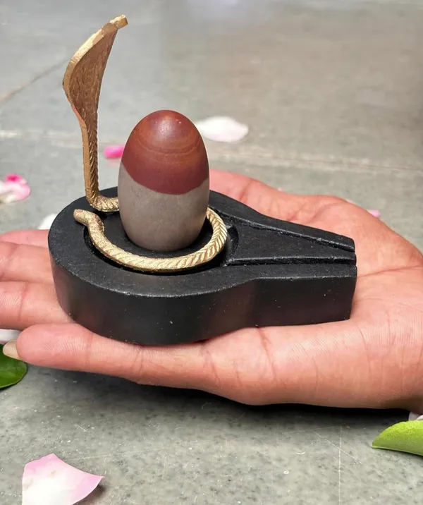 Narmada_Stone_Black_Shivling_With_Nag_Set_For_Pooja_Decor