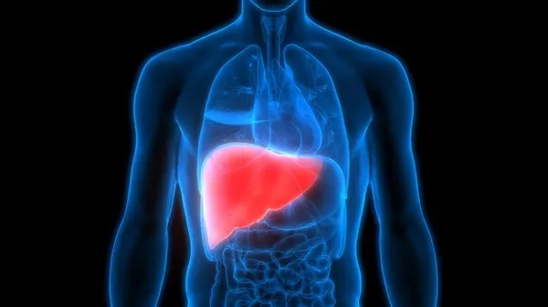 Livos_Ds_Ayurvedic_Liver_Tonic_For_Men_Women_Children