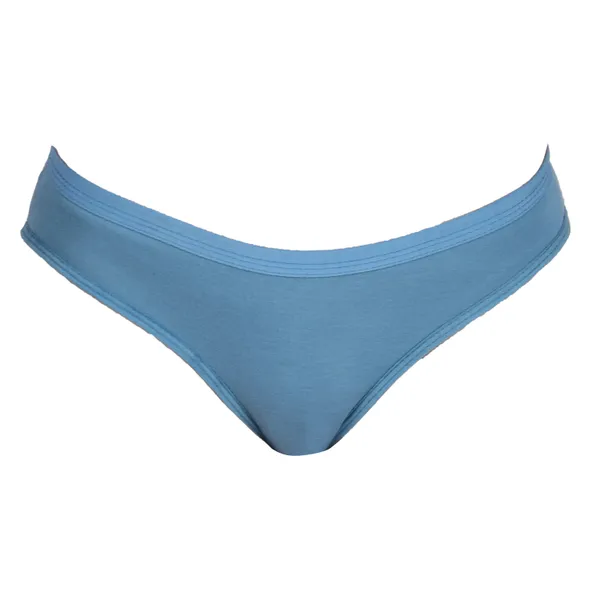Blue_Brief_Panty_for_Women