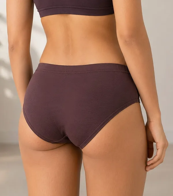 Brown_Mid_Rise_Brief_Panty_for_Women