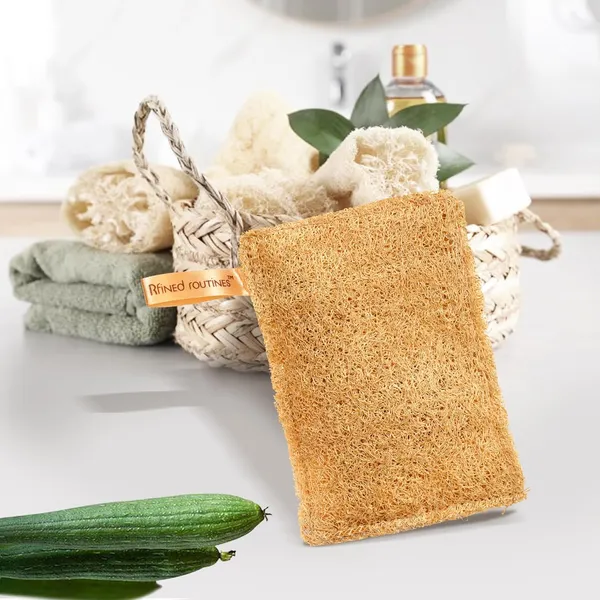 Brown_Loofah_Natural_Bath_Sponge_For_Bathing_Accessories_Pack_Of_2