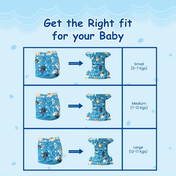 Blue_White_Cotton_Cloth_Diaper_With_Booster_Insert_For_Baby