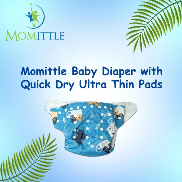Blue_White_Cotton_Cloth_Diaper_With_Booster_Insert_For_Baby
