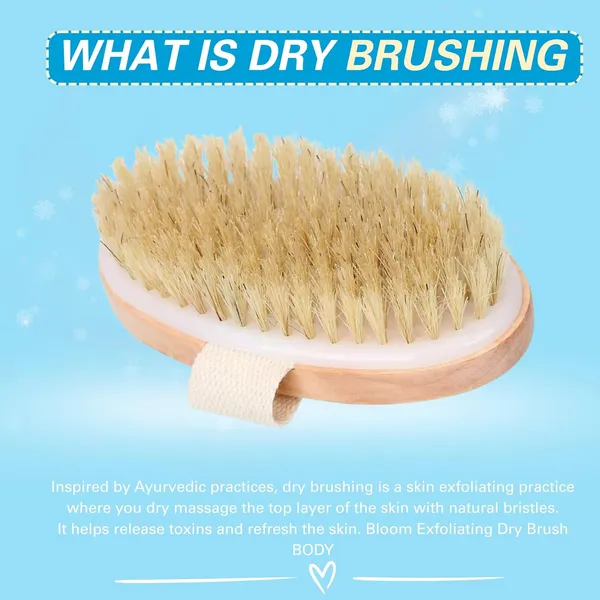 Brown_Plastic_Wooden_Dry_Bath_Brush_With_Natural_Bristles_For_Bath_Gloves