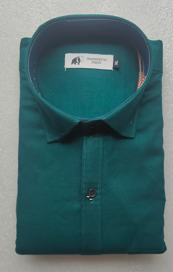 Teal_Solid_Regular_Fit_Collared_Shirt_For_Men
