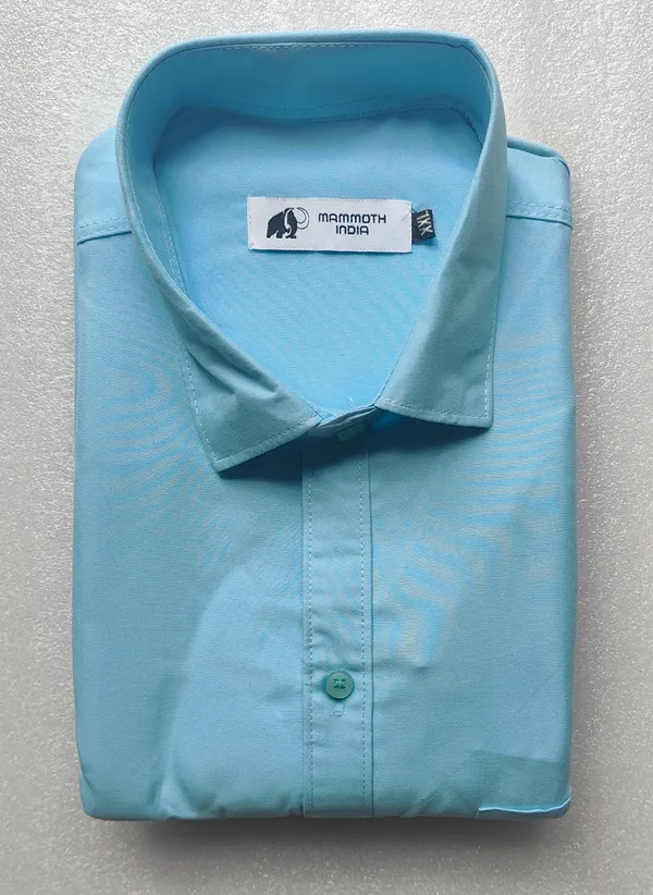 Light_Blue_Solid_Regular_Fit_Shirt_For_Men
