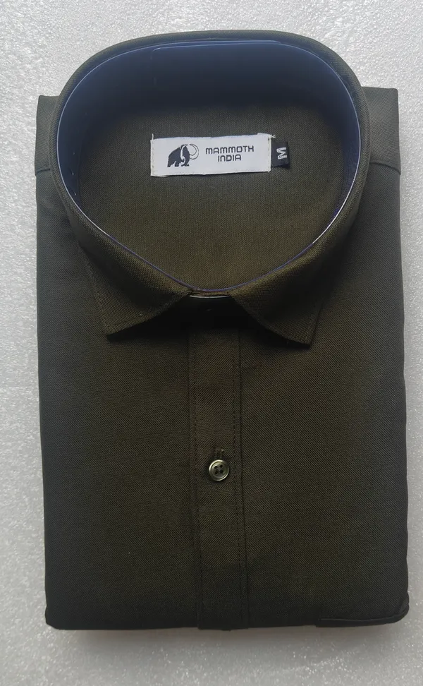 Olive_Solid_Regular_Fit_Shirt_For_Men