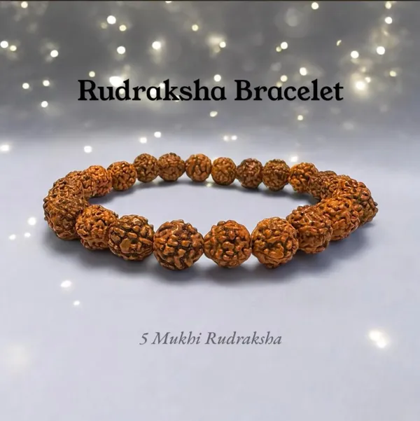 5_Mukhi_Rudraksha_Bead_Bracelet