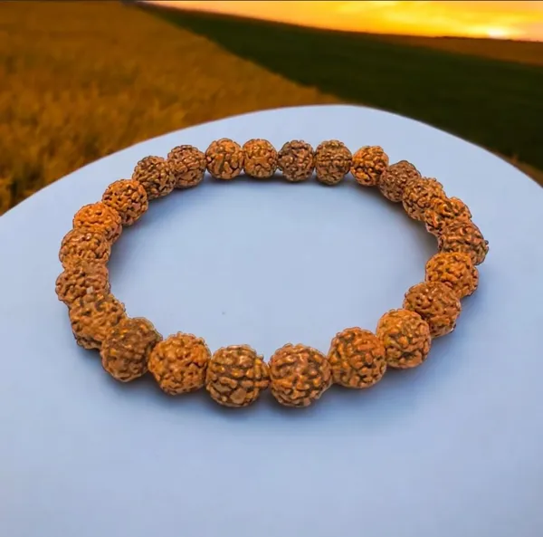 5_Mukhi_Rudraksha_Bead_Bracelet