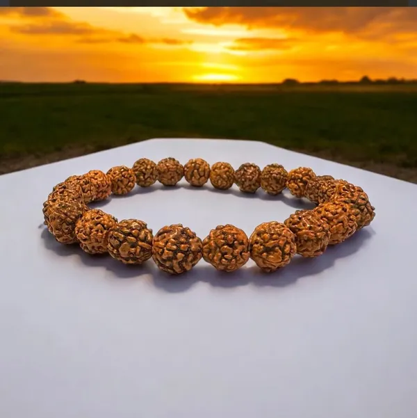 5_Mukhi_Rudraksha_Bead_Bracelet