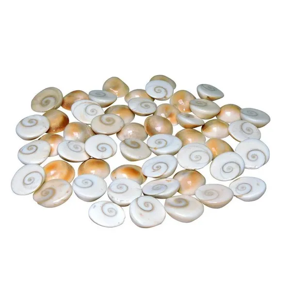Gomati_Chakra_River_Stones