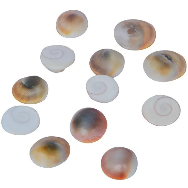 Gomati_Chakra_River_Stones