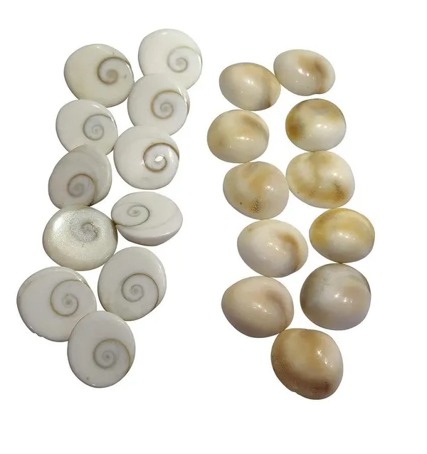 Gomati_Chakra_River_Stones