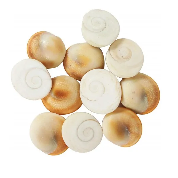 Gomati_Chakra_River_Stones