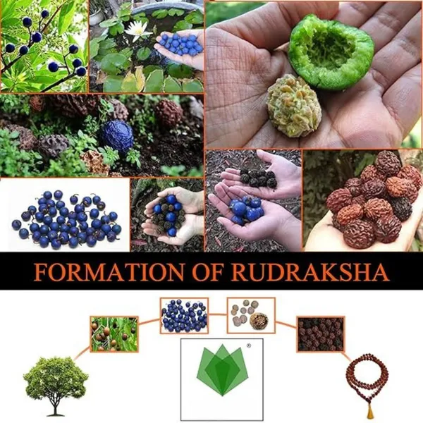 Multiagate_Stone_Beads_Bracelet_()