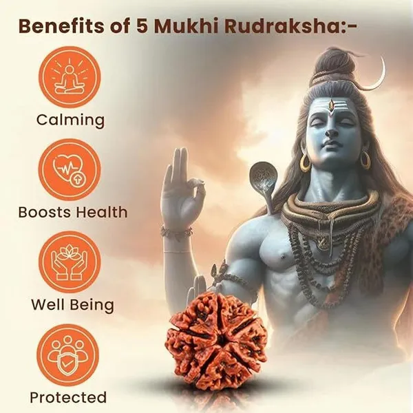Multiagate_Stone,_Rudraksha_Beads,_Crystal_Bracelet_()