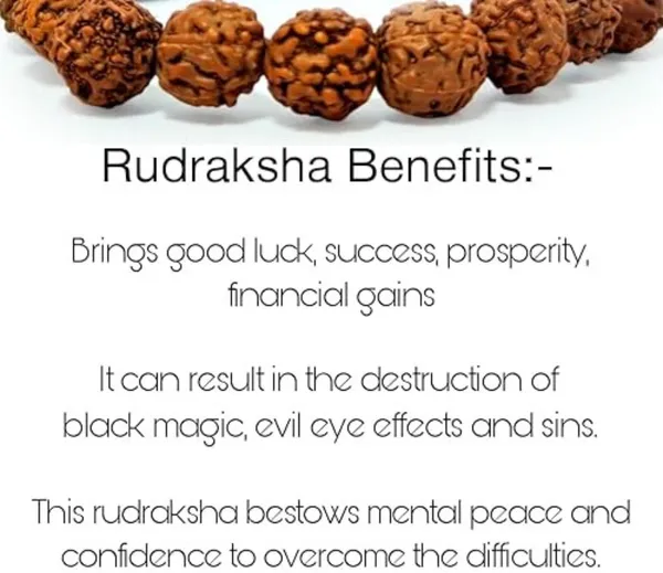 Multiagate_Stone,_Rudraksha_Beads,_Crystal_Charm_Bracelet_()