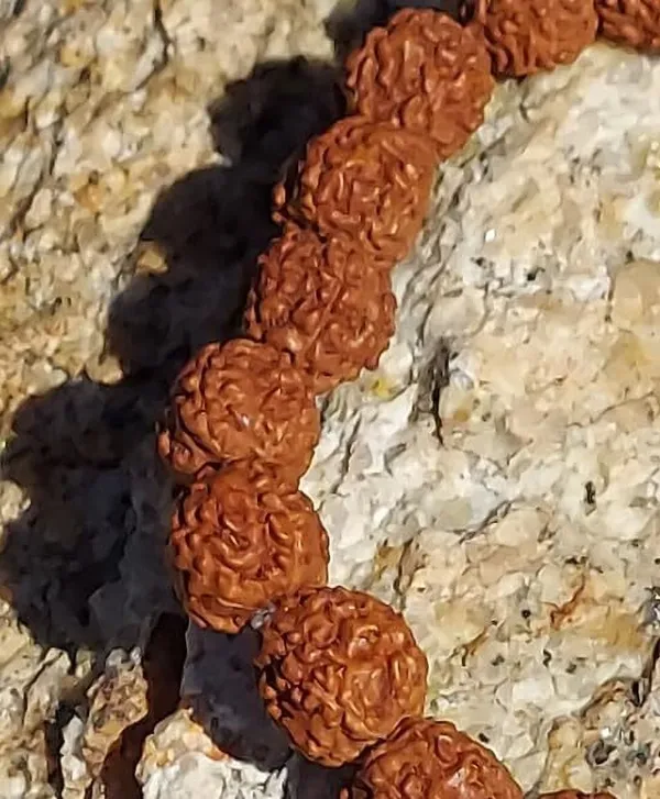 Multiagate_Stone,_Rudraksha_Beads,_Crystal_Charm_Bracelet_()