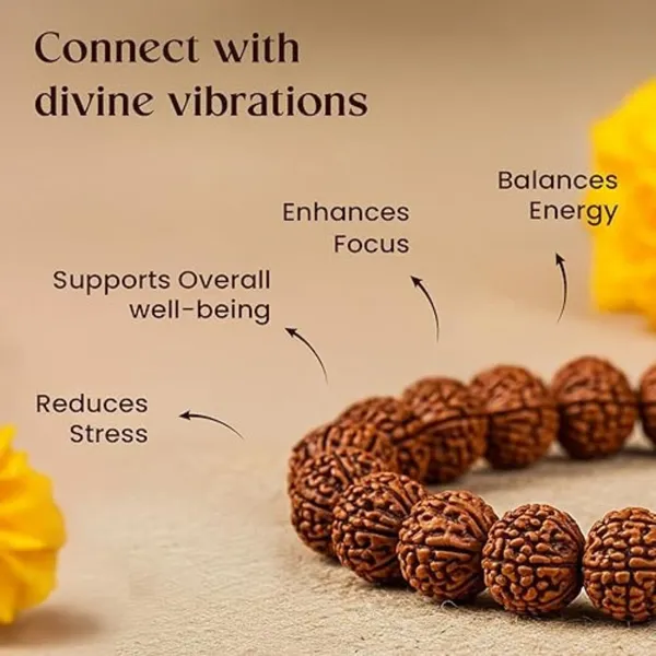 Multiagate_Stone,_Rudraksha_Beads,_Crystal_Charm_Bracelet_()