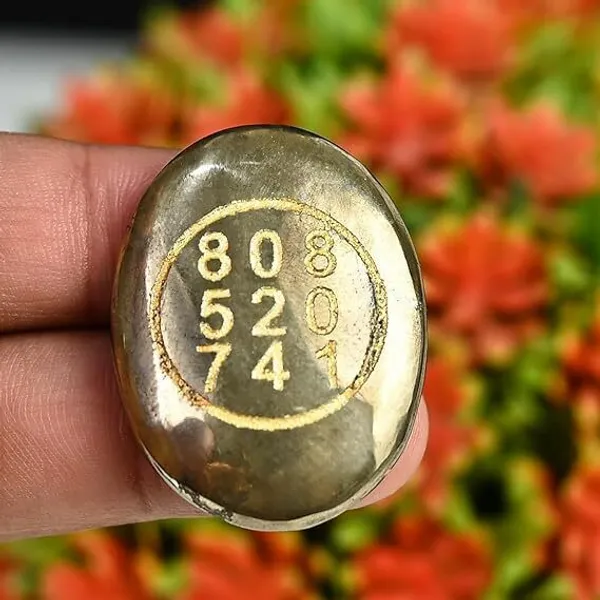 Multiagate_Pyrite_Zibu_Symbol_Money_Magnet_Coin_-_Fantasy_Attract_Financial_Growth_Decorative_Showpiece__-__4_cm_(Stone,_Gold)