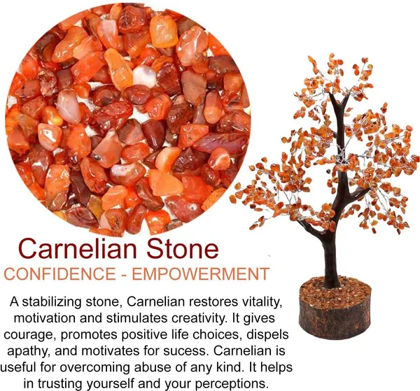 Multiagate_Carnelian_Agate_Money_Tree:_for_Showpiece,_Home_Decor,_Reiki_Healing_300_beads_Decorative_Showpiece__-__24_cm_(Stone,_Wood,_Red)