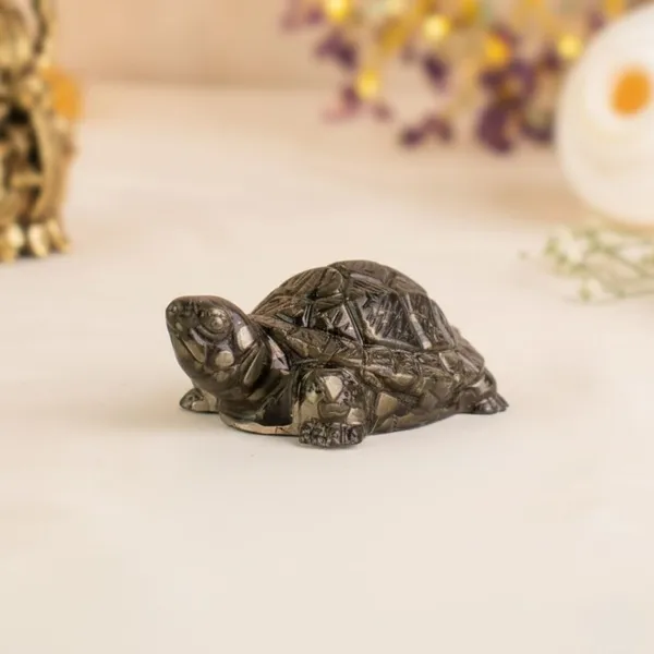 Multiagate_Vastu_Pyrite_Tortoise_(Kachhua)_for_Home_&_Office_Wealth,_Prosperity_&_Good_Luck_Decorative_Showpiece__-__4.2_cm_(Stone,_Polyresin,_Grey)