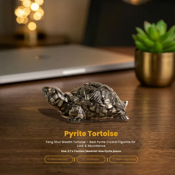 Multiagate_Pyrite_Tortoise_(Kachhua)_2.7x1_|_Crystal_Turtle_|_Money,_Luck_&_Wealth_Decorative_Showpiece__-__7_cm_(Resin,_Stone,_Gold)