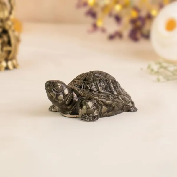 Multiagate_Vastu_Pyrite_Tortoise_(Kachhua)_for_Home_&_Office_Wealth,_Prosperity_&_Good_Luck_Decorative_Showpiece__-__2.5_cm_(Crystal,_Grey)