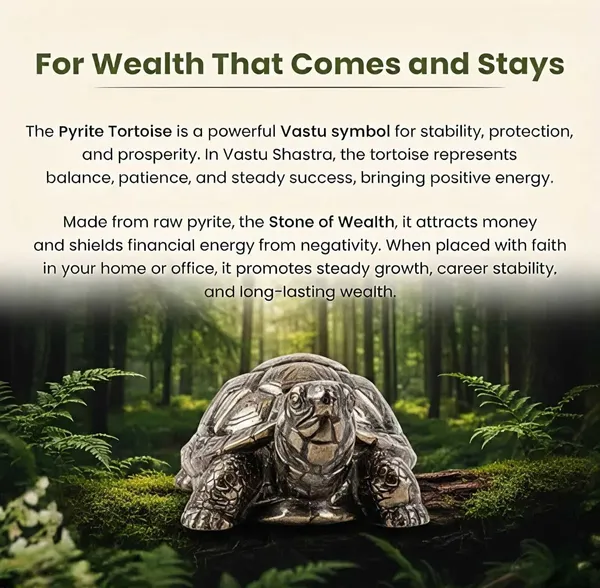 Multiagate_Pyrite_Crystal_Turtle_for_Business_Growth_|_Feng_Shui_Vastu_Good_Luck_Tortoise_Decorative_Showpiece__-__2.5_cm_(Stone,_Black)