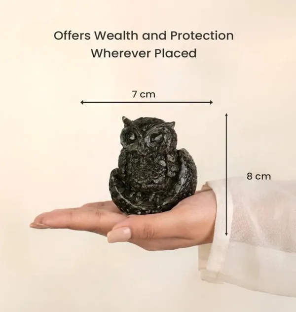 Agatesaura_Rudrakesha_Pyrite_Owl_Big,_Small_&_Pyrite_Tortoise_Combo_Decorative_Showpiece__-__7_cm_(Crystal,_Beige)