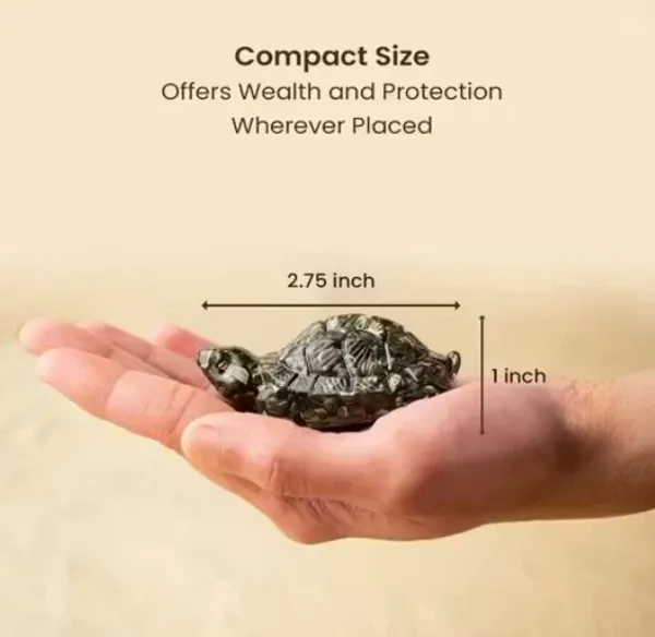 Agatesaura_Rudrakesha_Money_Magnet_Pyrite_Tortoise_Combo_for_Wealth,_Prosperity_Decorative_Showpiece__-__2_cm_(Crystal,_Beige)