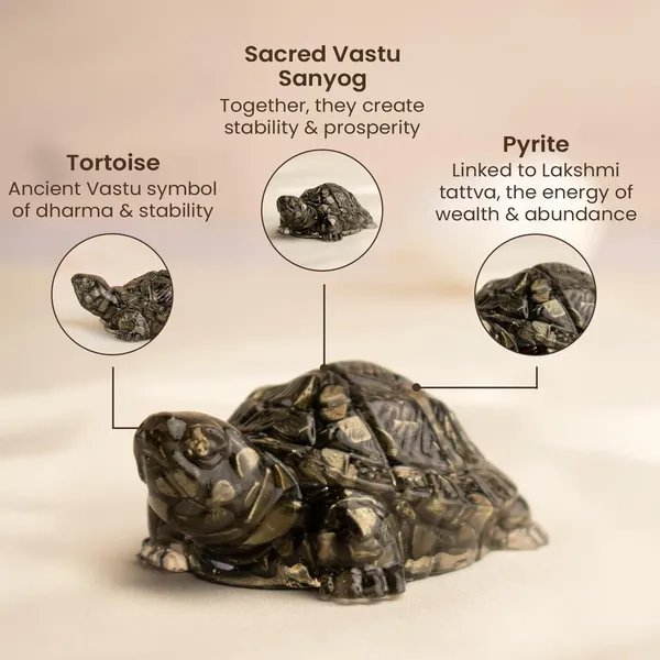 Agatesaura_Natural_Gemstone_Turtle_Showpiece_for_Home_Decor_Vastu_Feng_Shui_Statue_800g_Decorative_Showpiece__-__4_cm_(Stone,_Multicolor)