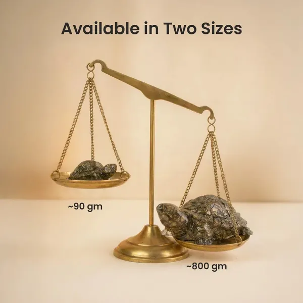 Agatesaura_Natural_Gemstone_Turtle_Showpiece_for_Home_Decor_Vastu_Feng_Shui_Statue_800g_Decorative_Showpiece__-__4_cm_(Stone,_Multicolor)