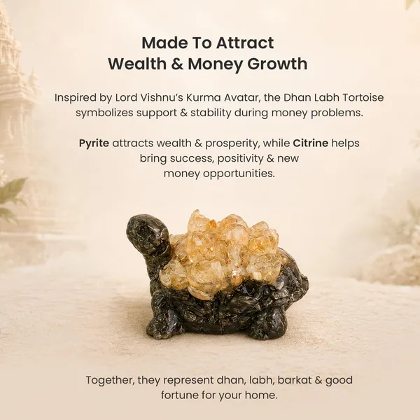 Agatesaura_Dhan_Labh_Pyrite_&_Citrine_Crystal_Tortoise_for_Wealth,_Vastu_Home_Office_Decor_Decorative_Showpiece__-__2.54_cm_(Stone,_Multicolor)