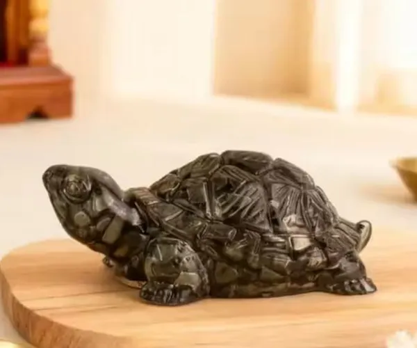 Agatesaura_Rudrakesha_Pyrite_Tortoise_for_Wealth,_Prosperity_&_Positive_Energy_Decorative_Showpiece__-__2_cm_(Crystal,_Beige)