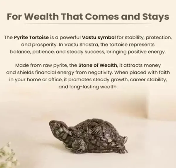 Agatesaura_Rudrakesha_Pyrite_&_Money_Magnet_Tortoise_Combo_for_Wealth,_Prosperity_Decorative_Showpiece__-__2_cm_(Crystal,_Multicolor)
